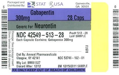 Principal Display Panelndc: 42549-513-28gabapentin 300mg #28 Capsule(s) (Gabapentin 300mg 42549 Label)
